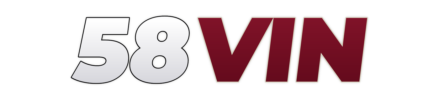 58vin logo